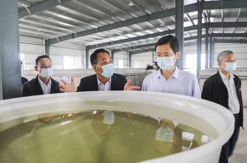 方正赴貴池區(qū)調(diào)研春耕備耕和特色農(nóng)產(chǎn)品種植養(yǎng)殖工作