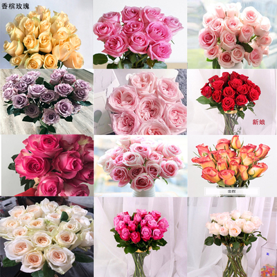花卉銷(xiāo)售_網(wǎng)絡(luò)科技_苗木種植_農(nóng)副產(chǎn)品