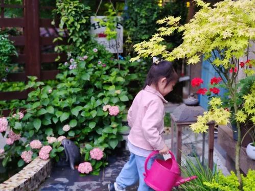 2年前,買了個(gè)底樓帶50㎡小院的房子,在繁華都市過(guò)上了花園生活