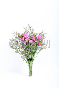 花產(chǎn)品圖片_花產(chǎn)品素材_花產(chǎn)品高清圖片_攝圖網(wǎng)圖片下載