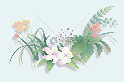 花卉背景圖片素材_免費(fèi)下載_psd圖片格式_VRF高清圖片401051659